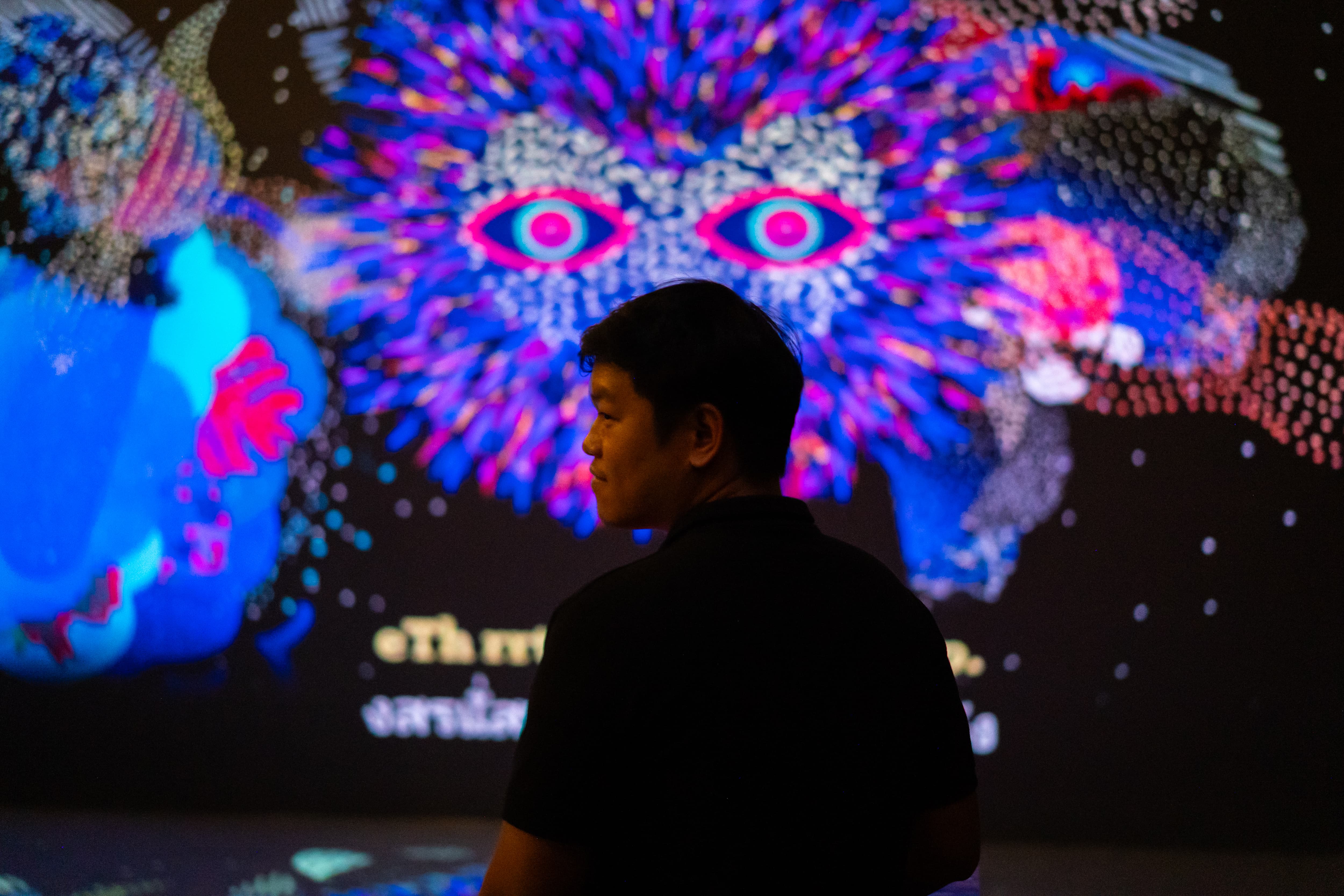 Interactive Projection: An interactive projection installation that brings visitors face-to-face with the spirits of nature. 