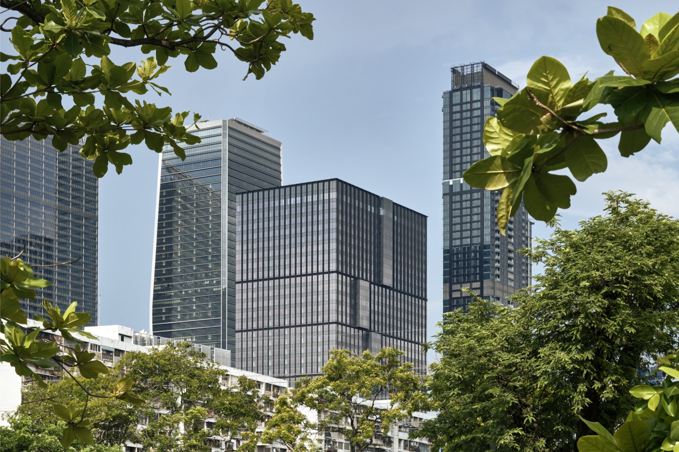 ต้นไม้ 1 ต้นในพื้นที่สีเขียวและพื้นที่เปิดโล่ง ช่วยลด CO₂ ได้ประมาณ 22 กิโลกรัมต่อปี