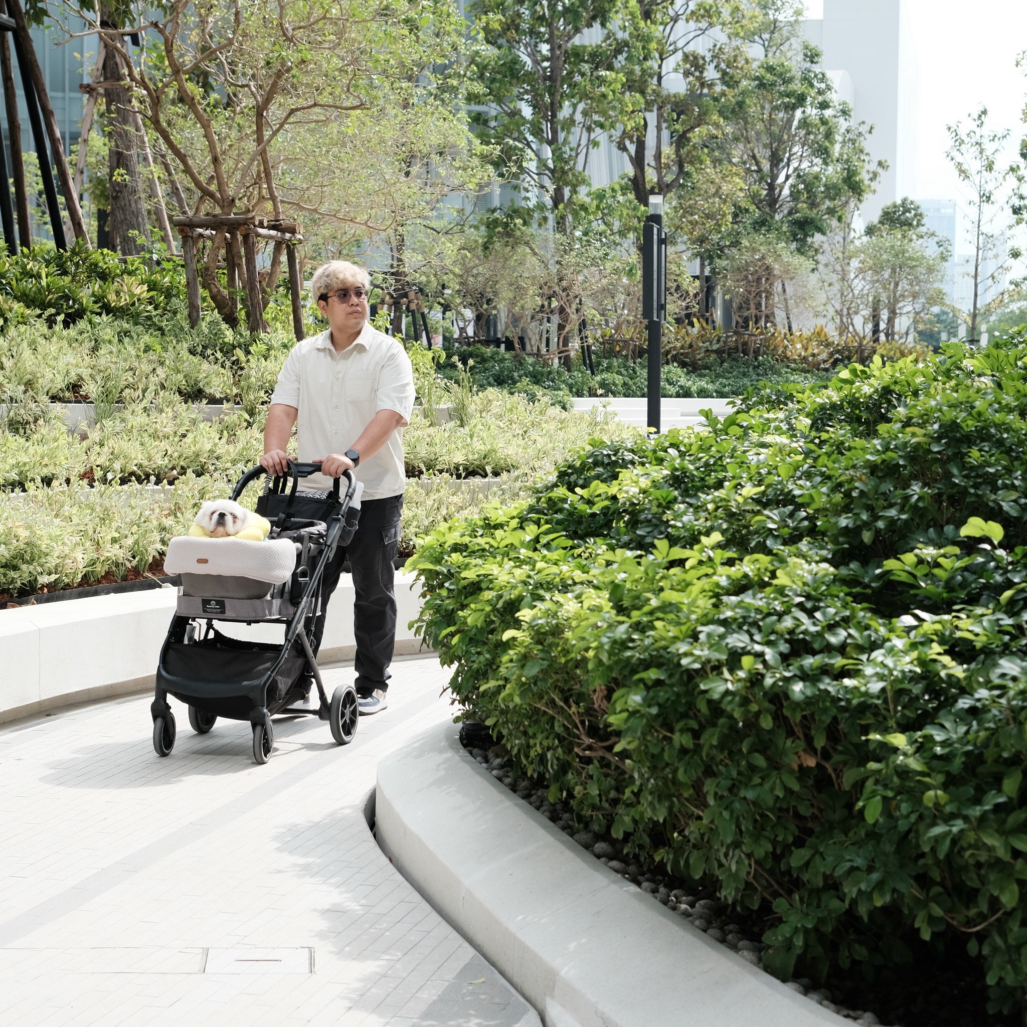 Pet friendly and pet allowed reflect modern concepts that place greater importance on pets in urban living.